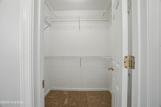 101 Whitetail Ct, South Mills, NC 27976 - view of walk in closet