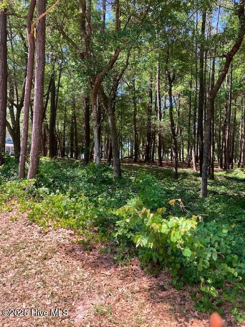 3287 Mooring Dr SE Unit 165, Bolivia, NC 28422