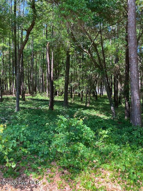 3287 Mooring Dr SE Unit 165, Bolivia, NC 28422