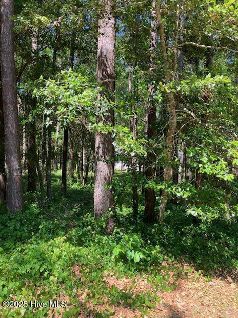 3287 Mooring Dr SE Unit 165, Bolivia, NC 28422