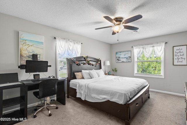 803 Oakwood Ave, Jacksonville, NC 28546 - bedroom with carpet floors, a textured ceiling, and multiple windows