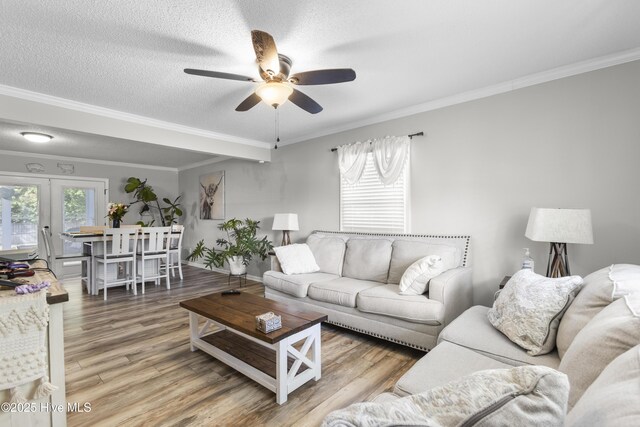 803 Oakwood Ave, Jacksonville, NC 28546 - living room with a ceiling fan, ornamental molding, and wood finished floors