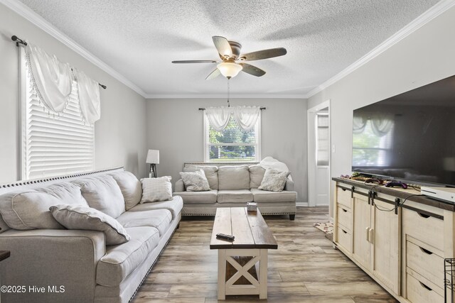 803 Oakwood Ave, Jacksonville, NC 28546 - living area with crown molding, ceiling fan, light wood-type flooring, and a textured ceiling