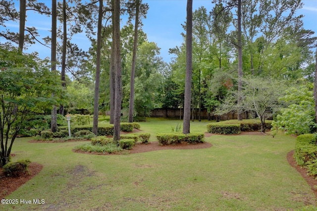view of yard featuring view of scattered trees