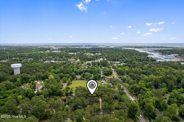 aerial view of a forest and a large body of water