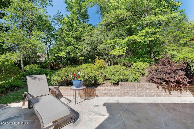 3504 Whimsy Way, Wilmington, NC 28411 - view of patio / terrace