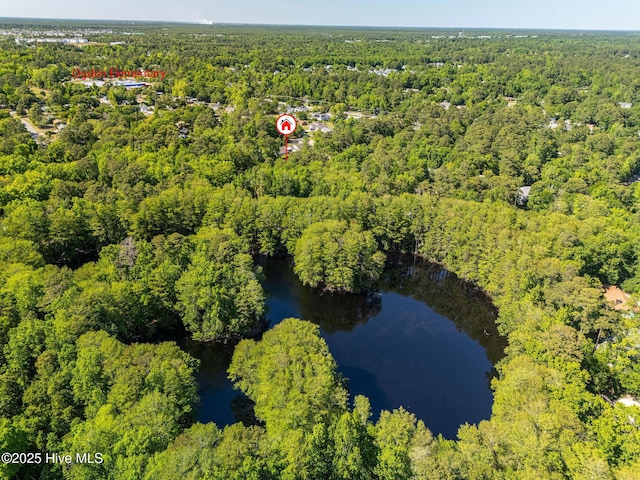 drone / aerial view with a water view and a forest view