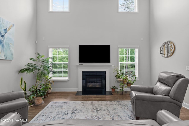 224 Pristine Ct, West End, NC 27376 - living room with a towering ceiling, wood finished floors, a glass covered fireplace, and baseboards