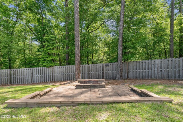 224 Pristine Ct, West End, NC 27376 - view of yard with a patio