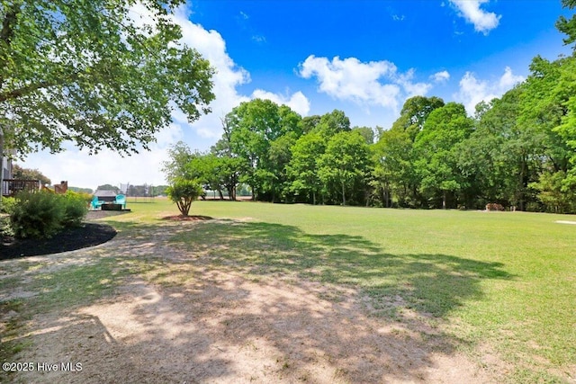 1171 Airport Rd, Pikeville, NC 27863 - view of yard