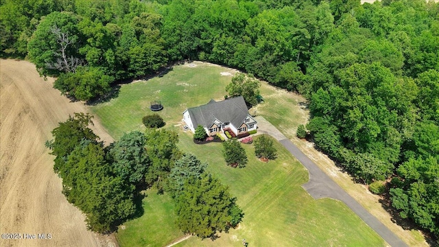 1171 Airport Rd, Pikeville, NC 27863 - bird's eye view