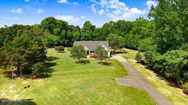 1171 Airport Rd, Pikeville, NC 27863 - drone / aerial view