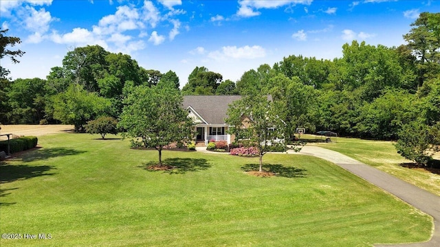 1171 Airport Rd, Pikeville, NC 27863 - view of front of home featuring a front lawn