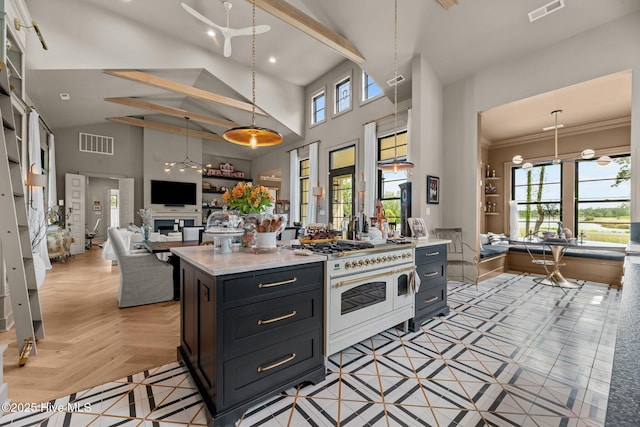 628 E Harborside Rd, Oriental, NC 28571 - kitchen with range with two ovens, a wealth of natural light, and visible vents