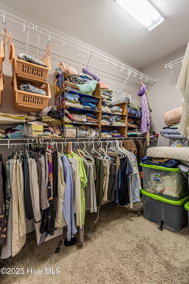 spacious closet with carpet flooring