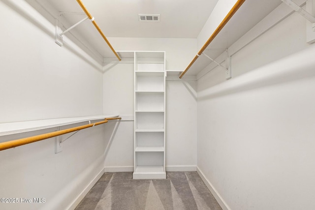 1601 Castalia Dr, Cary, NC 27513 - spacious closet with carpet floors