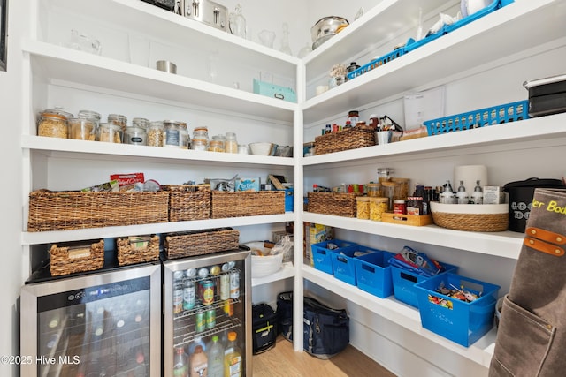 729 Waterstone Dr, Wilmington, NC 28411 - pantry with beverage cooler