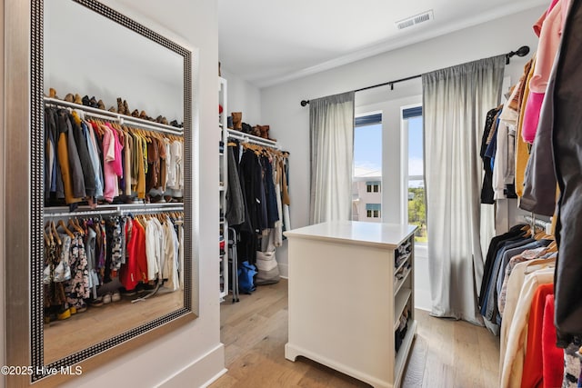 729 Waterstone Dr, Wilmington, NC 28411 - walk in closet featuring light wood-style flooring