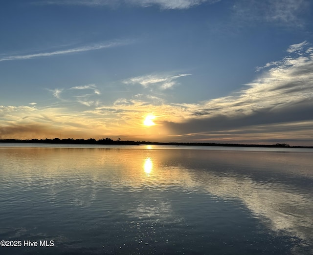 105 Mistiflower Ct Unit 22, Wilmington, NC 28412