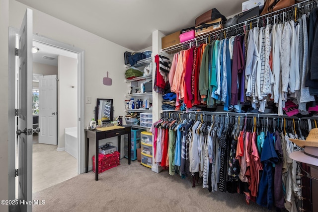 view of spacious closet