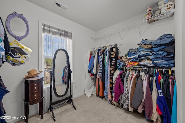 spacious closet featuring carpet flooring and visible vents