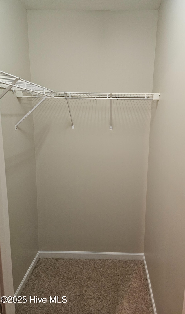 walk in closet featuring carpet
