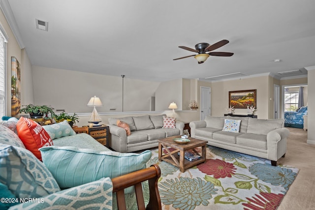 carpeted living room featuring visible vents, a ceiling fan, crown molding, and attic access