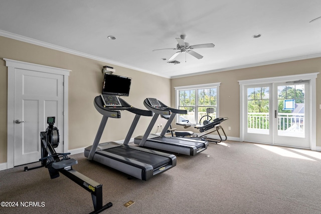 exercise room featuring crown molding, visible vents, baseboards, a ceiling fan, and carpet