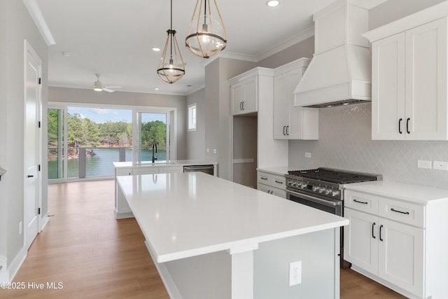 2652 Alvernia Dr, Castle Hayne, NC 28429 - kitchen with custom exhaust hood, a kitchen island, a ceiling fan, tasteful backsplash, and a sink