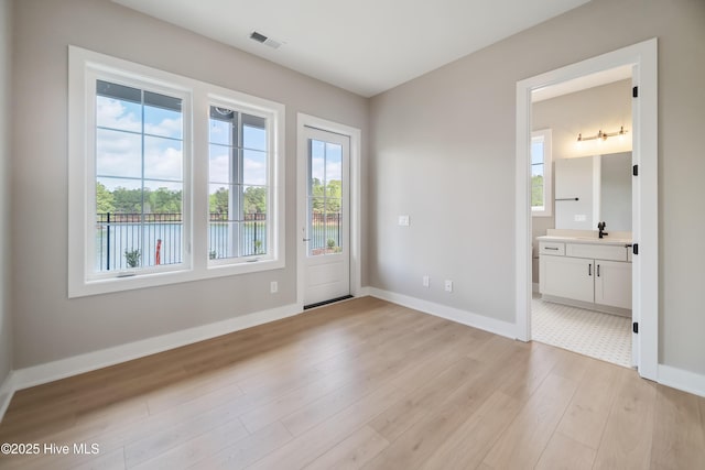 2652 Alvernia Dr, Castle Hayne, NC 28429 - unfurnished room with healthy amount of natural light, light wood-type flooring, and a sink