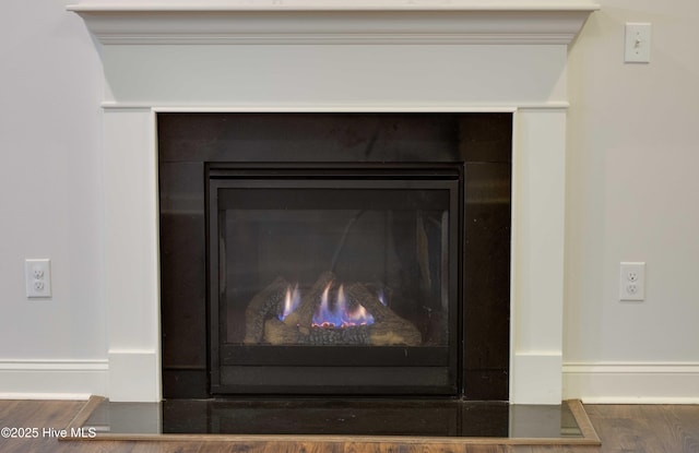 5225 National Garden Trl, Winnabow, NC 28479 - interior details featuring a glass covered fireplace and wood finished floors