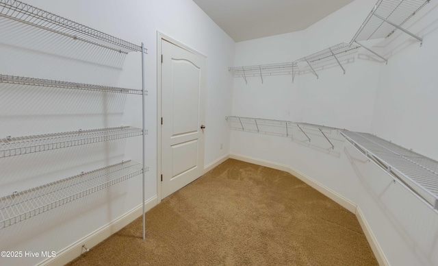 5225 National Garden Trl, Winnabow, NC 28479 - spacious closet with carpet floors