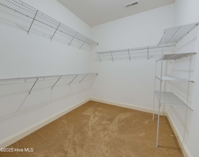 5225 National Garden Trl, Winnabow, NC 28479 - walk in closet with carpet floors and visible vents