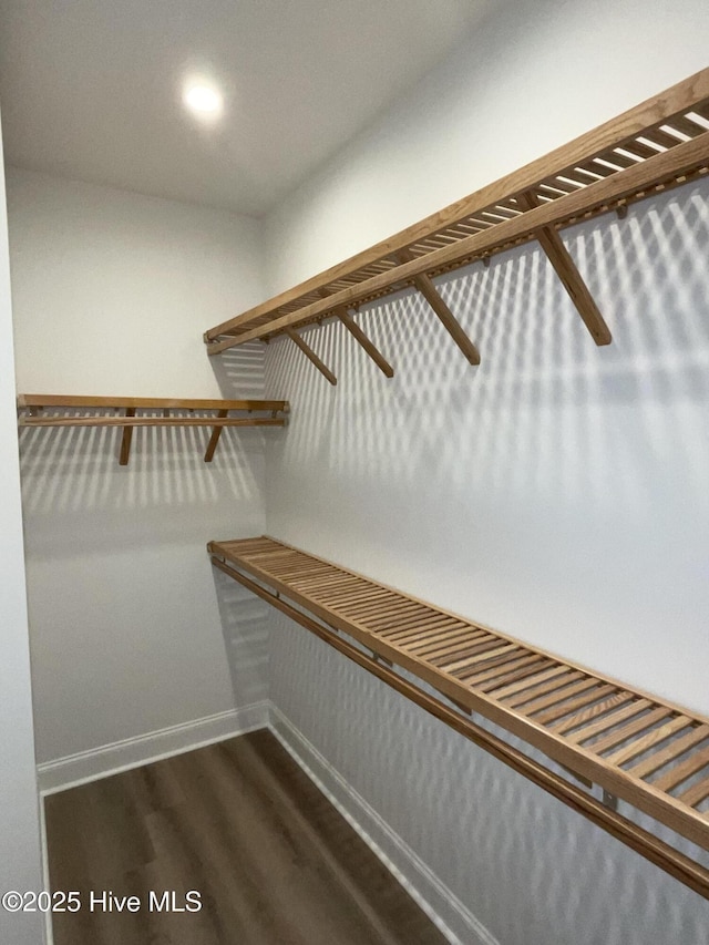 walk in closet with dark wood-style flooring