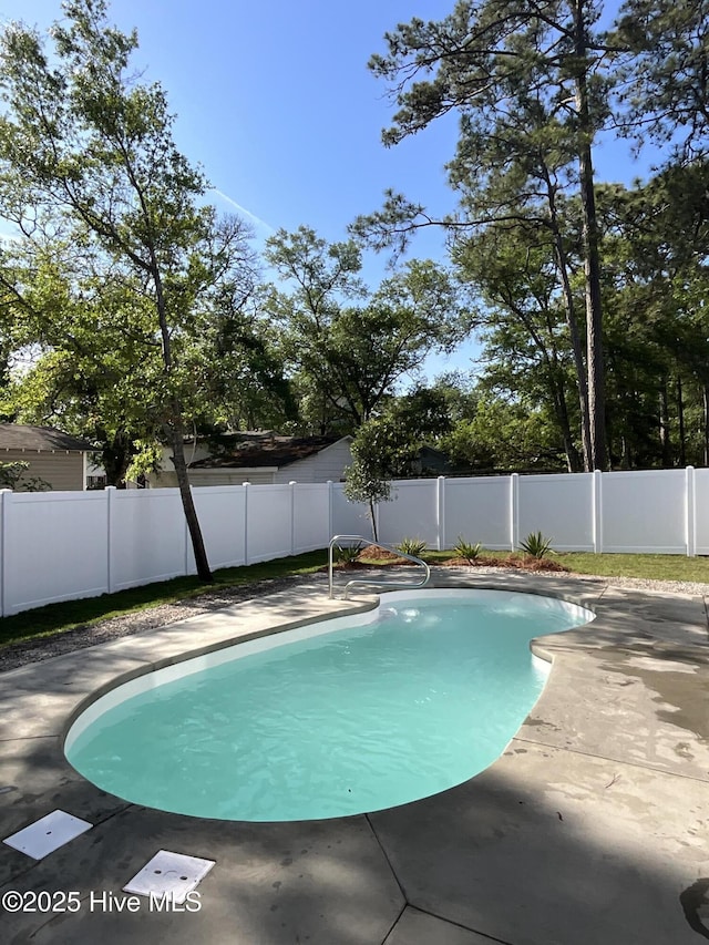 view of swimming pool with a fenced in pool, a fenced backyard, and a patio area