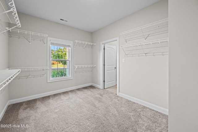 spacious closet with carpet floors and visible vents