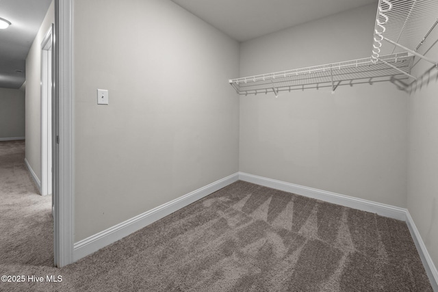 spacious closet with carpet floors