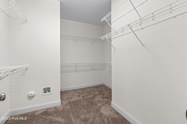 spacious closet featuring carpet flooring