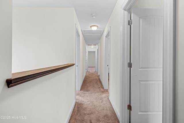 hall featuring baseboards, carpet flooring, and attic access