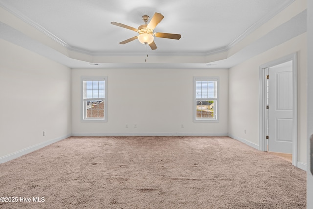 spare room with ornamental molding, a raised ceiling, and plenty of natural light