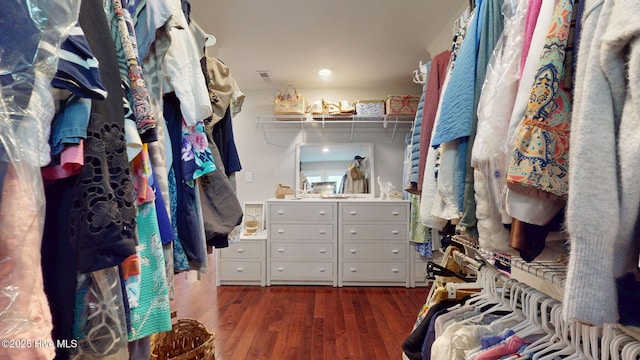 spacious closet with hardwood / wood-style flooring