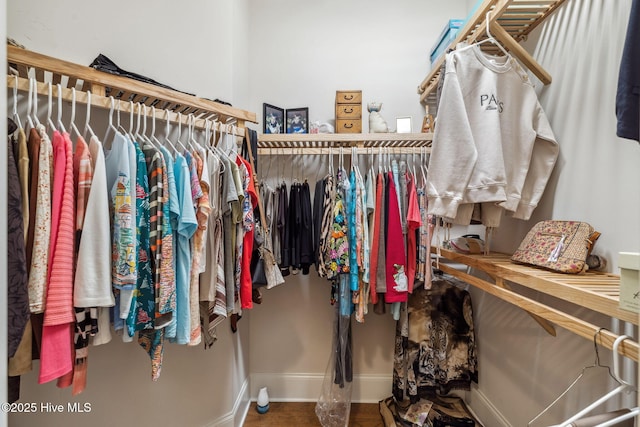 view of walk in closet