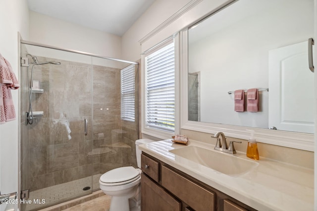 full bathroom featuring vanity, toilet, and a shower stall