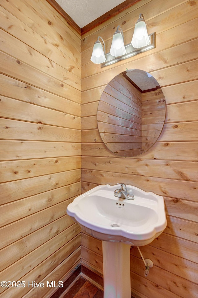 bathroom with wood walls