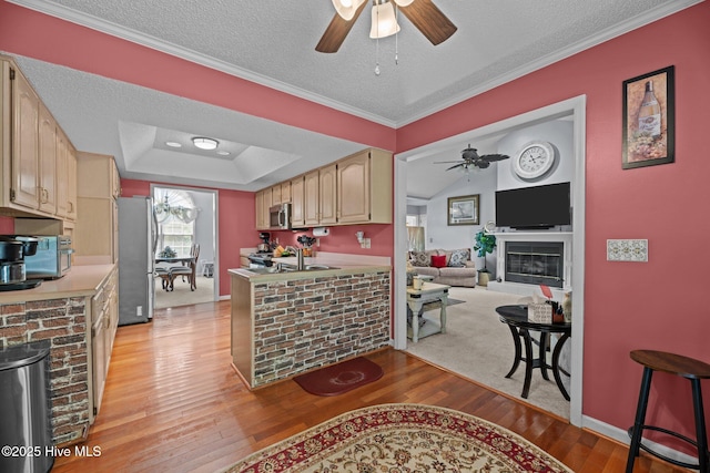 kitchen with light wood-style flooring, a textured ceiling, ceiling fan, and stainless steel appliances