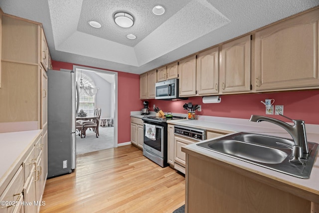 kitchen with light countertops, a sink, light wood finished floors, and stainless steel appliances