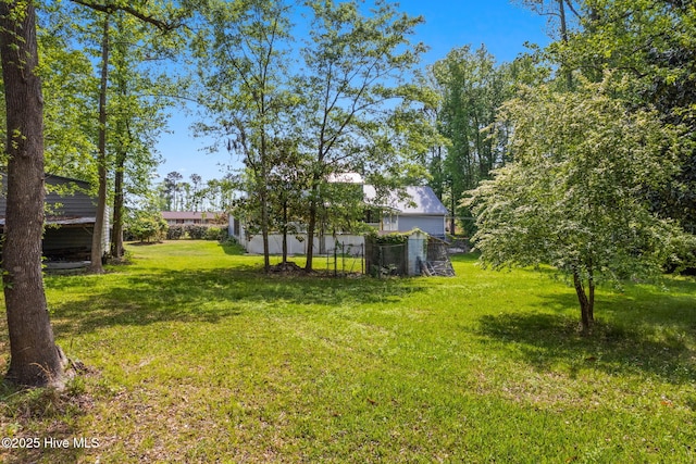 view of yard