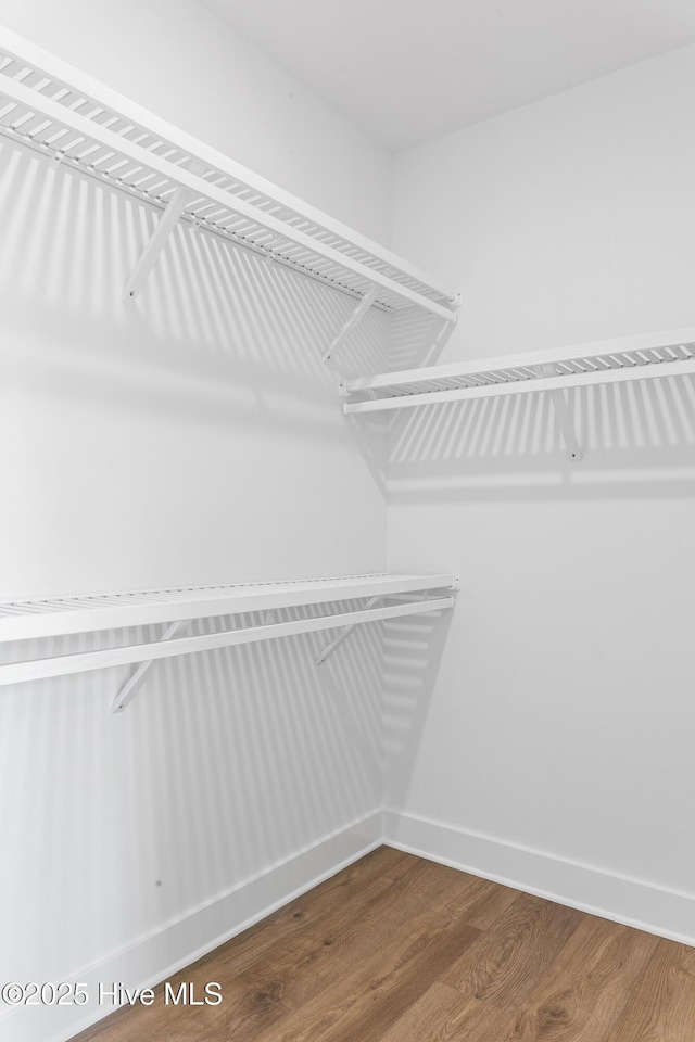 spacious closet featuring wood finished floors