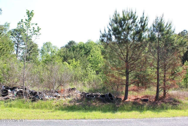 241 Joe Phelps Rd, Aulander, NC 27805