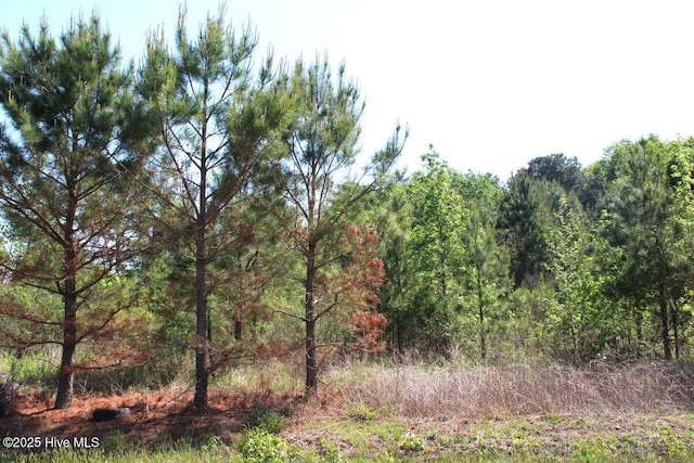 241 Joe Phelps Rd, Aulander, NC 27805